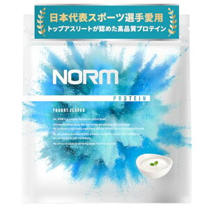NORM m[ zGC veC lHÖsgp [Og 1kg 100ȏ̃gbvAX[gp WPC WHEY PROTEIN zGCveC 