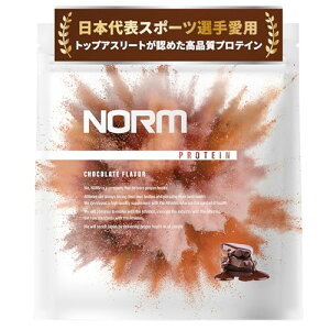 NORM m[ zGC veC lHÖsgp `R[g 1kg 100ȏ̃gbvAX[gp WPC WHEY PROTEIN zGCveC 