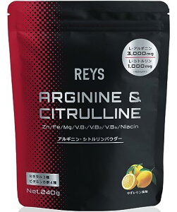 REYS CY AMjEVgpE_[ 䂸 RV 疾 ďC 240g L-AMj3,000mg L-Vg1,000mg ~l3 r^~BQ4z
