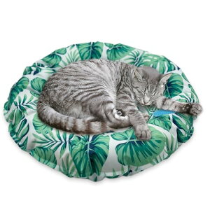 Pets Family(ybct@~[) Ђ}bg WF xbh  L N[}bg ~` h t p ⊴ \h ΍ ₽ ⊴ p (M, [t)