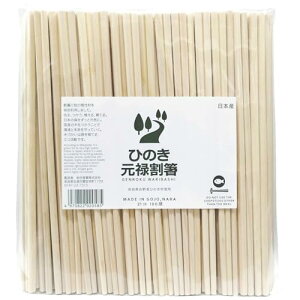 Y 蔢 { Y O \21cm 100V Ɩp