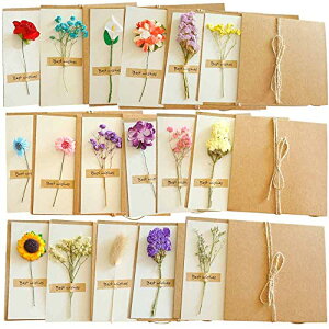 moin moin bZ[W J[h + Jo[ + V[ + R +  17Zbg / 莆 ^[ ̓ t[  O[eBO/MTCY 17×12cm / Ђ܂ KN uE J[l[V JX~\E 2211