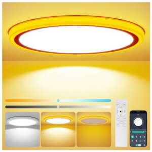 Antree LEDV[OCg 1012 Ԑڌ铔t ɔ^ 45W 5500LM  VƖ F dC u Ceiling Light 10~12 Q/rO/Lb`Kp