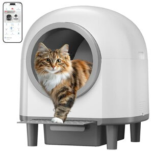 CATCOOLL gC  10̃ZT[ LpKit LgCS 100L̑e gC ɂœK pAPP u IOS/AndroidΉ LR} | {t