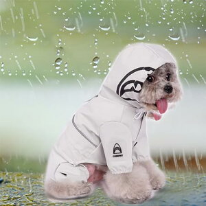 EMMEhbOEFA p CR[g J Jbp }WbNe[v t[ht ˃e[v EȒP   [hL St ~J΍ ^ ^ ^ ʋCzCg2XL
