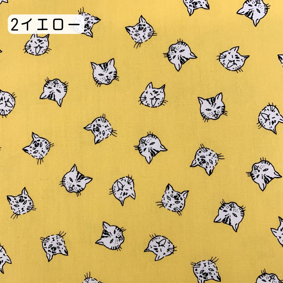 ブロード生地 猫柄 クールネコ YAKARANEKO コットン100% 5色対応 日本製 耐久性 光沢感 高級感 やんちゃネコ シャツ  ワンピース 入園入学準備 ポーチバック インテリアファブリック ハンドメイド OKB fabric