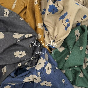 H~ ԕ vg t[ Rbg100 rG ͂ nM  Vv  |  nhCh