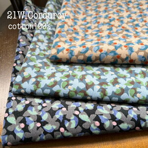 H~ g R[fC 21W ԕ R[V n ͂ nM  Vv  |  nhCh