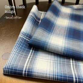 【店長おすすめ】オンブレーチェック 透け感あり 綿テンセルローン シンプル ハンドメイド