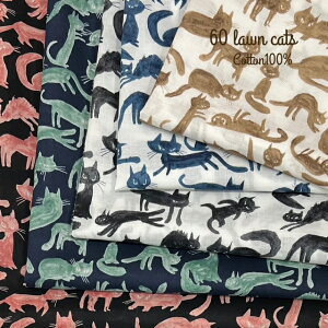 [n 60[ Rbg100% L ɂ lR n z { ʕ ݃J[ i nhCh D nhCh ~V i` 