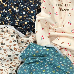 tXAn DOMOTEX Vjbgn LkvgjbgW[W ڃT{e Ip[h qE ԕ