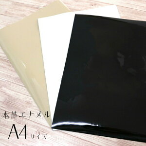 v Gin {v U[ A4 TCY 210mm×297mm n n z nhCh U[Ntg  zCg x[W F ubN \tg  vޗ ͂ a4 A4 {vJbg v 