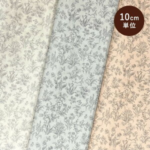 80[ Rbg100% 240{x[ [ n z x  ԕ A  Rbg nhCh { 10cmP  킢