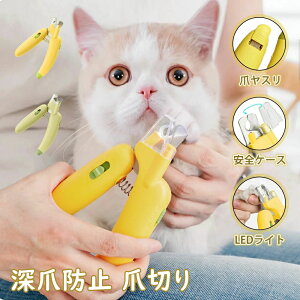 y2Fzܐ؂ L  ܐ؂ [ܖh~ ܐ؂ S ܐ؂  [ܖh~ ̒ܐ؂ Cgt led ObY [L Cg jbp[ ˂ nT~ ߐ؂L g₷ ₷ ȒP 