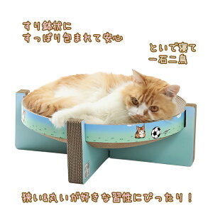 yr[e30%OFFN[|zLܐS Lp܂Ƃ ܂邢 44×44×14.3cm  L ߂Ƃ xbh ܂Ƃ 蔫^ L܂Ƃ i{[ ی^ ʃCXgt ܂Ƃxbh L߂