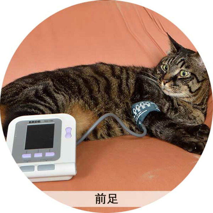 楽天市場】ペット血圧計 PES-1700 ERDE エルデ 犬 猫 動物 一般医療  