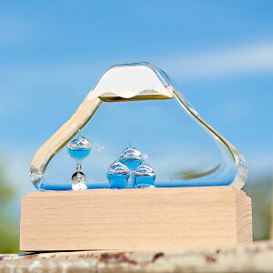 KIxv KXt[gxv xmR 333-215 Fun Science Mtg v[g  