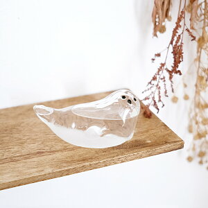 LV} Xg[OX AUV Cیv KNN88653 VC\  CeA  KXG u v[g 