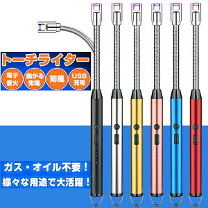 ���C�^�[ usb �[�d�� ���^ �d�q���C�^�[�v���Y�} �h�� �v���[���g ���΂� �d�q �Ȃ��� �t���L�V�u�� �i���� �L�����h�� �a���� ���蕨 �M�t�g �L�����v �A�E�g�h�A