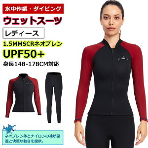 y1.5mm&fB[X㉺zEFbgX[c EFbgWPbg tBbVOWPbg tgWbv   T[tB _CrO }X|[c