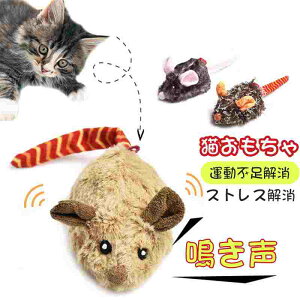 L  ߌ^   ^s XgXU  Lp Hт lRA V