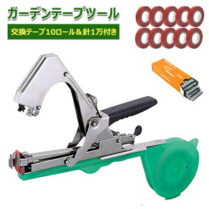 ye[v10j1tzK[fe[vc[ U@ Ue[v |p ؗU ƒ؉ ʎp Ў Ŕ \ _ƃe[v ؉ʎ ƒ؉ g}g/uhEɓKp