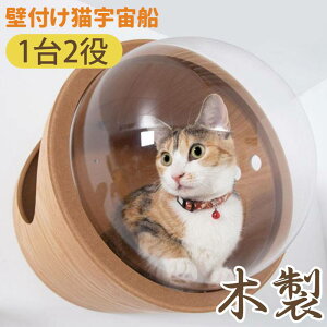 yǕtLFDz12 ؐ Ǖt L nEX LbgXebv lR^[  L Xebv I ʋC AN ǖ