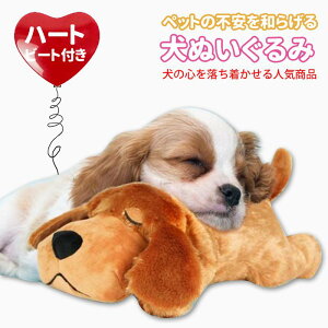 S̉o sɘa sa炰  ̐S𗎂 n[gr[gt ߋ 􂦂 ^/^/^ q ⏕