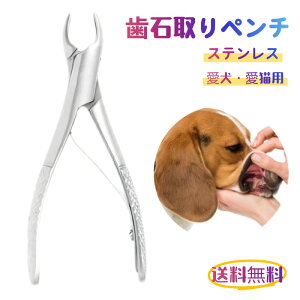 yzELp Ύ y`   f^PA z[PA L vp