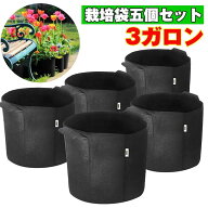 【五個セット・3ガロン】不織布 プランター 直径約25cm ベランダ栽培 野菜栽培 果樹苗木 布鉢 栽培袋 フ…