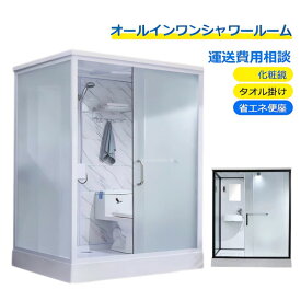 オールインワンシャワールーム トイレ 手鉢 シャワーヘッド 化粧鏡 タオル掛け 省エネ便座 すりガラス スライドドア シャワー閉鎖式 簡易 低コスト 短時間（納期は確認にお問い合わせください。商品は自分でインストールする必要があります。）