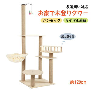 y120cmzu^ nbN @\Lbg^[ TCUR L Vя Lxbh Ή ϋv ^L ȃXy[X W]t t Ly RpNg