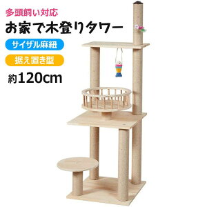 y120cmzu^ @\Lbg^[ TCUR L Vя Lxbh Ή ϋv ^L ȃXy[X W]t t Ly RpNg CeA