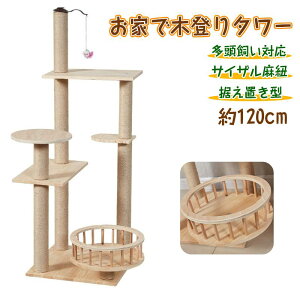 y120cmzu^ @\Lbg^[ TCUR L Vя Lxbh Ή ϋv ^L ȃXy[X W]t t Ly RpNg CeA