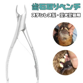 【当日発送】愛犬・愛猫用 歯石取り ペンチ 犬 歯石 デンタルケア ホームケア 猫 プロも愛用