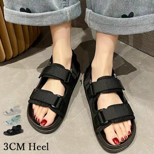 X|[cT_ Y fB[X Xj[J[T_ T_ ₷ ɂȂ _炩NbV h y JWA ^C  ăr[T xg Xgbv X|