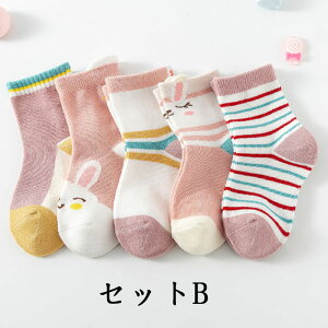 j̎q ̎q LbY xr[ C WjA q A\[g AN 5Zbg 9-11cm 12-14cm 14-16cm 16-18cm Iׂ \bNX  ǂ 