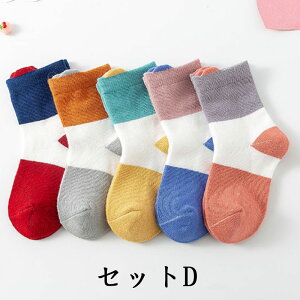 j̎q ̎q LbY xr[ C WjA q A\[g AN 5Zbg 9-11cm 12-14cm 14-16cm 16-18cm Iׂ \bNX  ǂ 