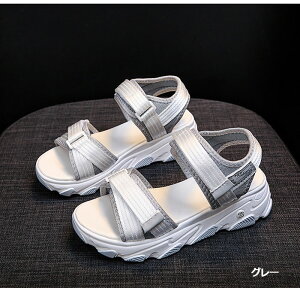 X|[cT_ fB[X Xj[J[T_ T_ ₷ ɂȂ _炩NbV h y JWA ^C  ăr[T xg Xgbv X|T r