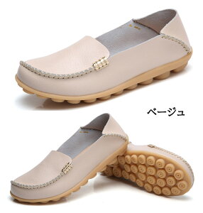 pvX ؂ ₷  fB[X ɂȂ pvX XNGAgD tbgV[Y C V[Y tbg pvX  n tďH~ ̓  22 22.5 23 23.5 24 