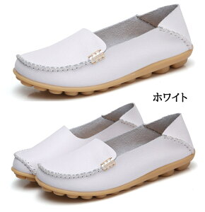 pvX ؂ ₷  fB[X ɂȂ pvX XNGAgD tbgV[Y C V[Y tbg pvX  n tďH~ ̓  22 22.5 23 23.5 24 