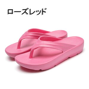 gOT_ fB[X  r[`T_ Y r[T eva ubN T_ X|[c  q r ؍ O  C y q[ T_ ₷ Ȃ V