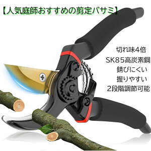 ΂ y2025lCt̂߁z oT~  ؂ꖡ 2iK߉\ SK85Yf|n tbfR[eBO Kтɂ ₷ }؂oT~ |nT~ |p͂ Kтɂ
