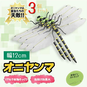 y2025NVŖ{fEIȍŒAzIj}  12cm-3C Ij} g{ AȖ͌^ g{̂ f I悯  oRj[ nCLO Lv oR 