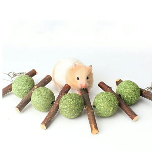 nX^[   `` ?  X bg ETM eWNlY~  XgX ^s  ݂艺 ꖂ΍ VR̃S̏} qƂ񂲎}