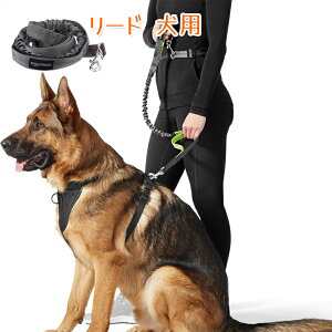 [h p 2 Lk 0.9m ubN  p[h ^A^A^p[h P[h O[h ybgpi ʋC O[h g[jO[h U Pp