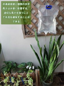 蓖  A  Lbv ʒ߉\ 3̐o _H 5.2L e EH[^[ obO stbN t      o s | Aؔ ϗtA
