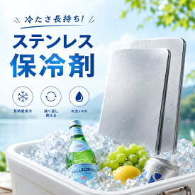 保冷剤 ステンレス 保冷剤 長時間 強力保冷 小型 クーラーボックス 繰り返し使える 冷蔵 冷凍対応 熱中症対策 急速冷却 アイスパック お弁当 釣り キャンプ BBQ スピード冷凍＆高性能保冷 小型 持ち運び便利 即納 送料無料