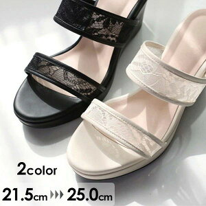 T_ ~[ ƂȂ EFbW\[ 2J[ fB[X 傫TCY nCq[ q[7.5cm  Sn悢 r TCY C  l ubN x[W