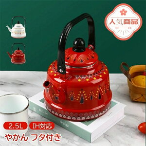 2025N̐Vi₩ 2.5L k ih IHΉ Gi L KX KXR ق낤 W ӂ t^t   g  v[g pI Mtg